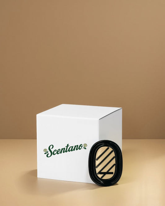 Car Fragrance Diffuser